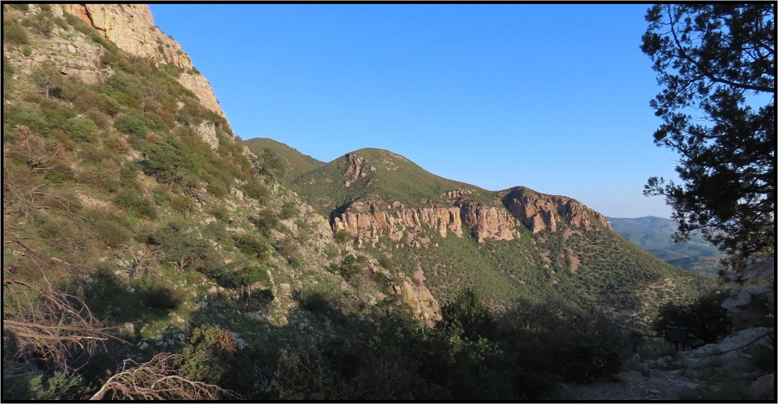 A mountain covered in trees with a blue sky in the background