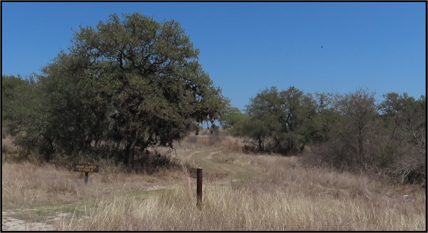 A fence post in the middle of a field with trees in the background
