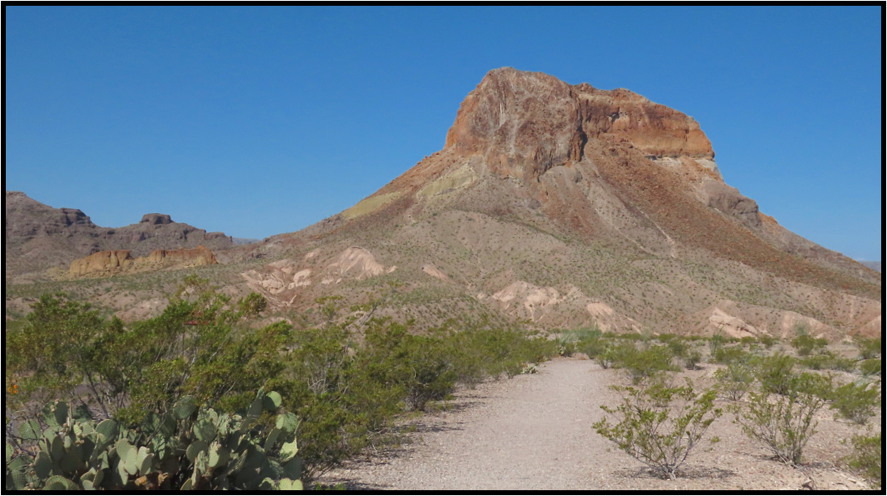 A dirt path leading to a mountain in the desert