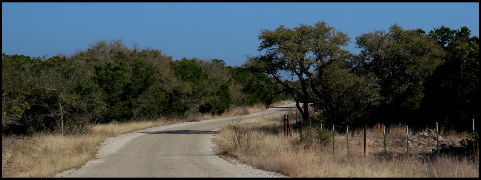 A dirt road going through a field with trees on both sides