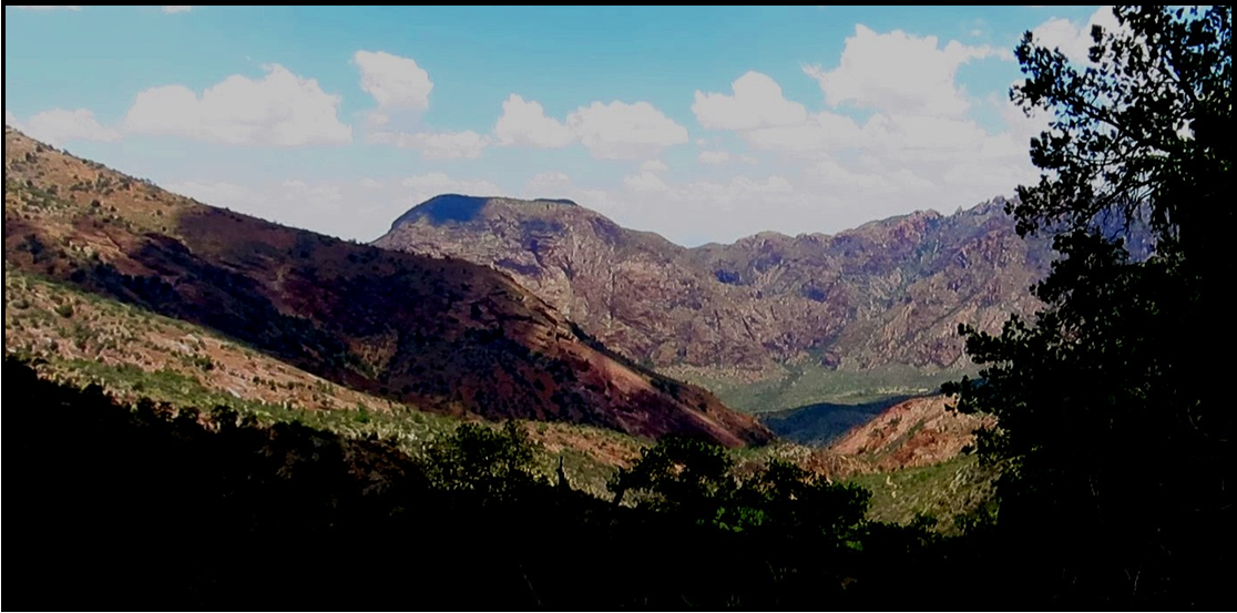 A view of a mountain range with trees in the foreground