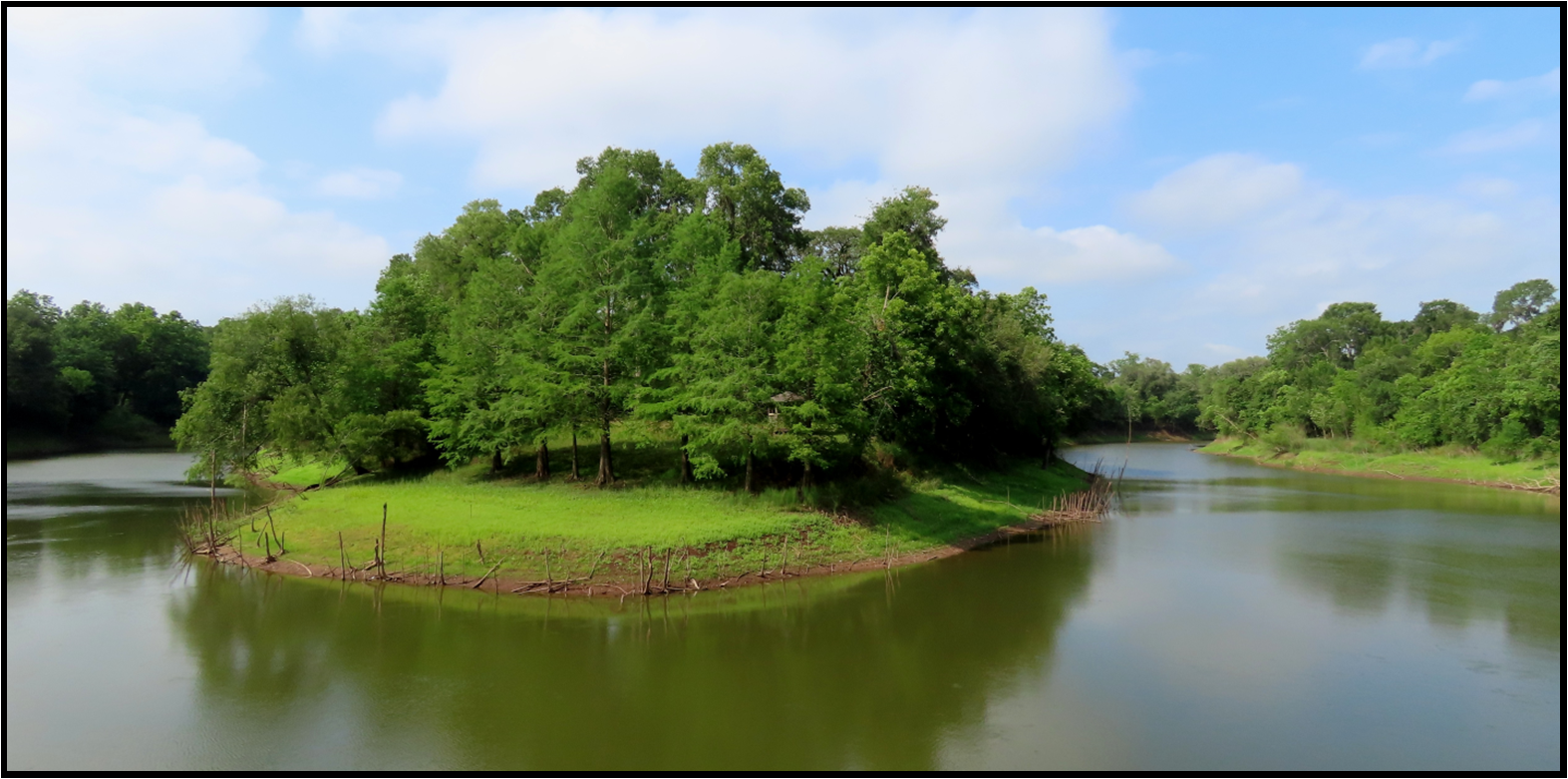 A small island in the middle of a lake surrounded by trees.