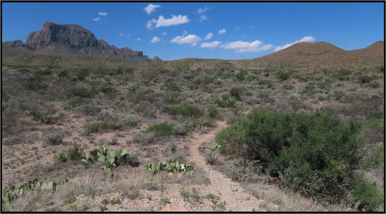 A dirt road in the desert with mountains in the background