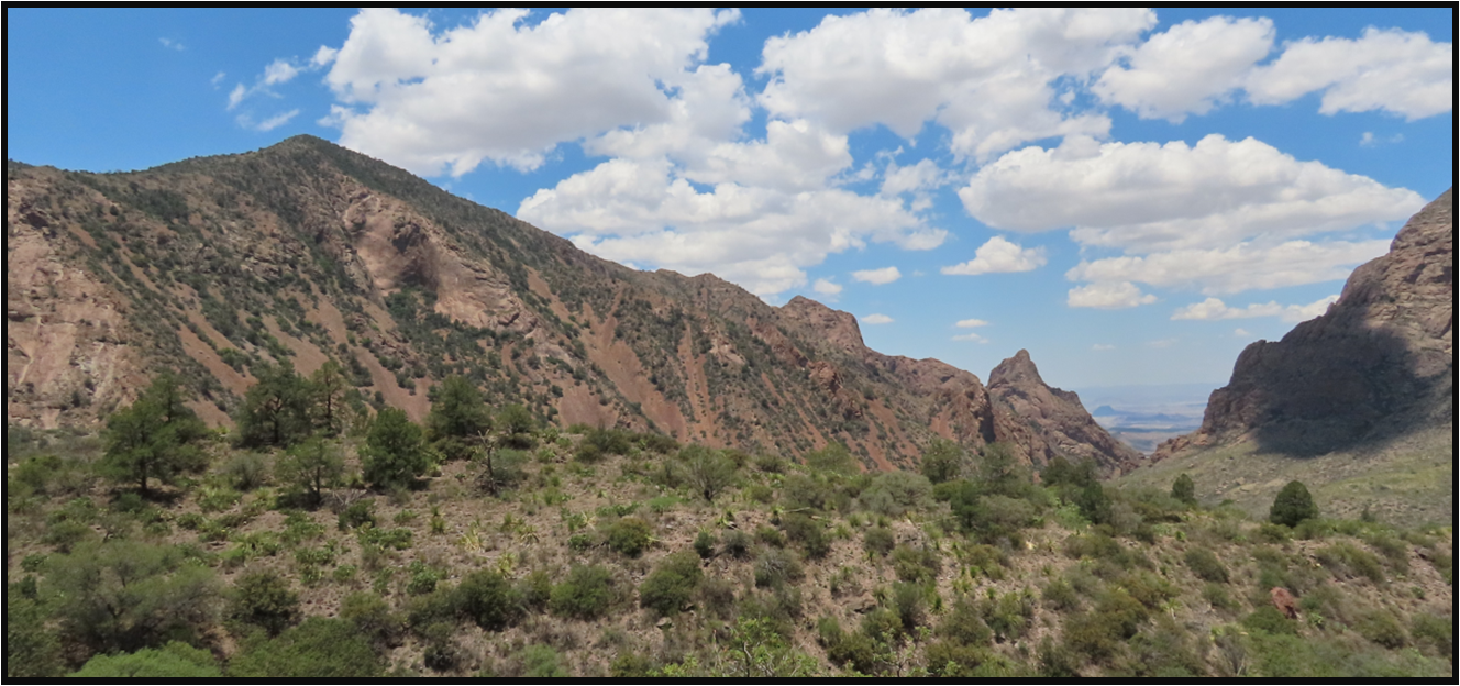 A mountain covered in trees and bushes with a blue sky in the background