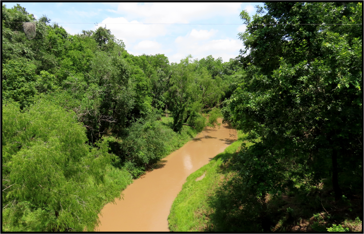 A river surrounded by trees on a sunny day
