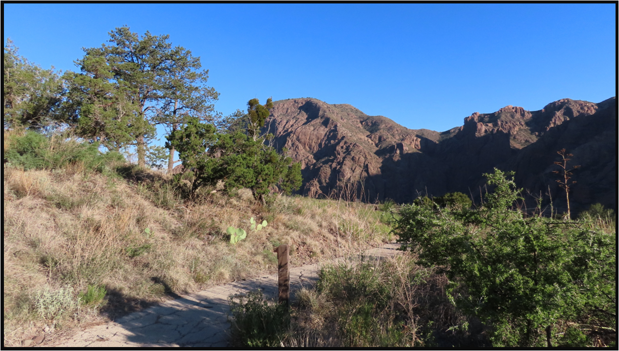 A desert landscape with trees and mountains in the background