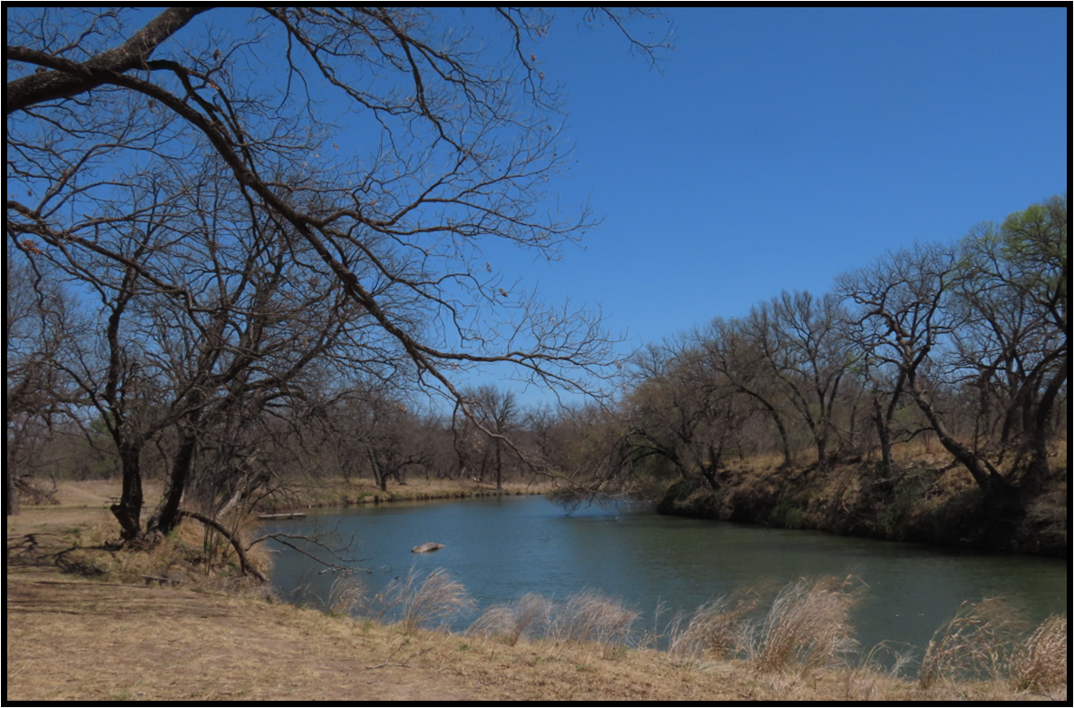 A river surrounded by trees on a sunny day