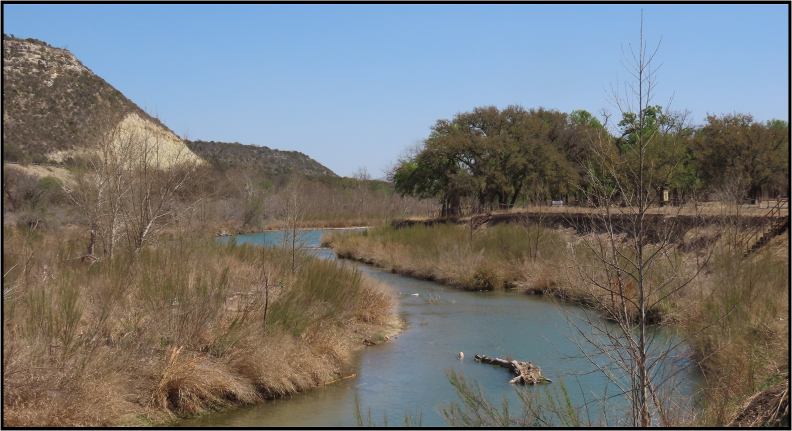 A river runs through a lush green forest with mountains in the background.