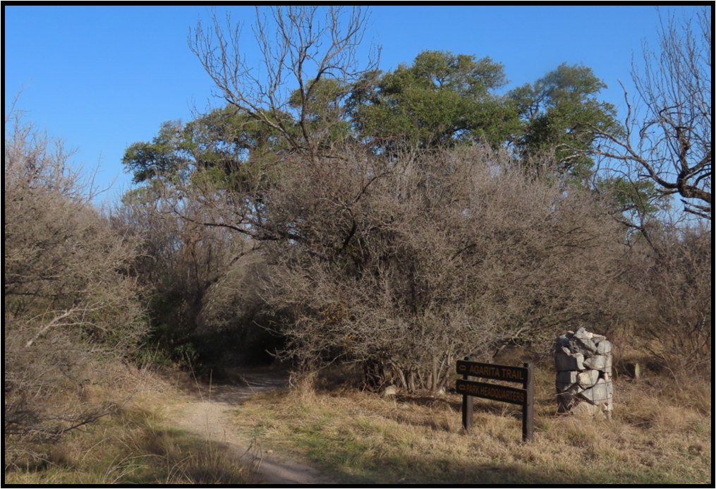 A wooden sign in the middle of a field with trees in the background.