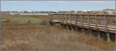 A wooden bridge over a swamp with a city in the background