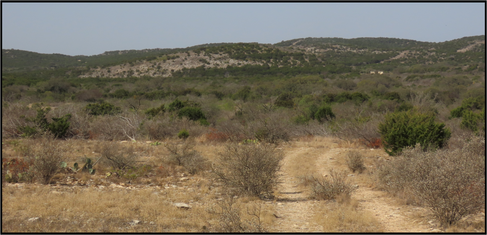 A dirt road in the middle of a desert with mountains in the background