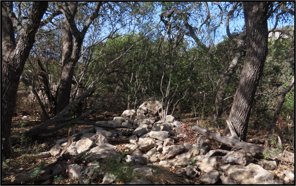 A pile of rocks in the middle of a forest surrounded by trees.