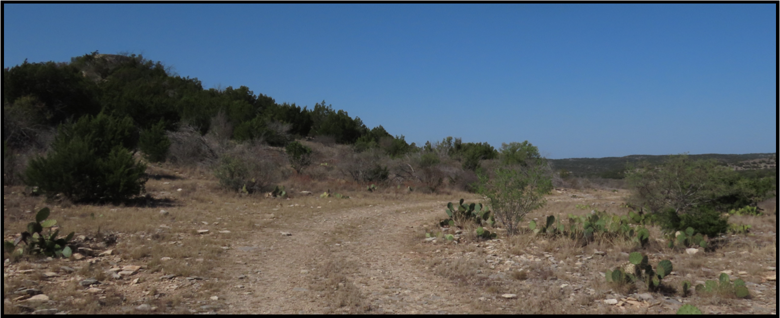 A dirt road in the desert with trees in the background