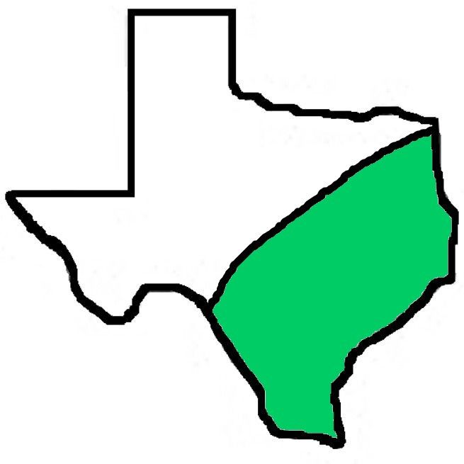 A drawing of the state of texas with a green border.
