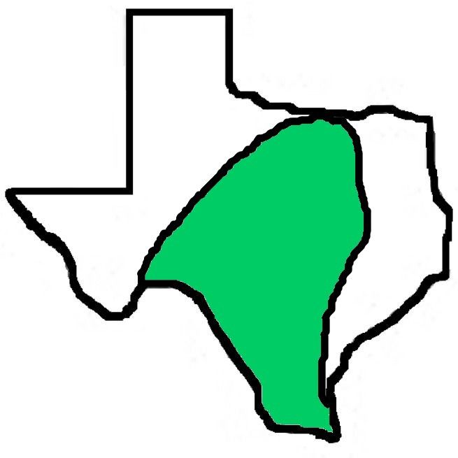 A drawing of the state of texas with a green border.