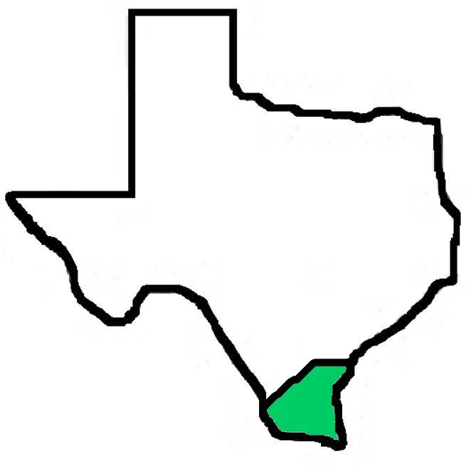 A black and white map of texas with a green border.