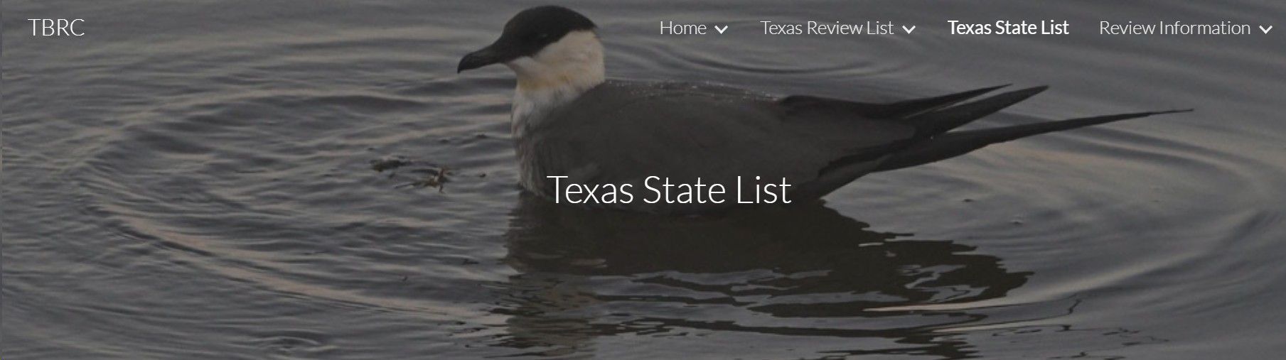 A bird is swimming in a body of water with texas state list written on the bottom