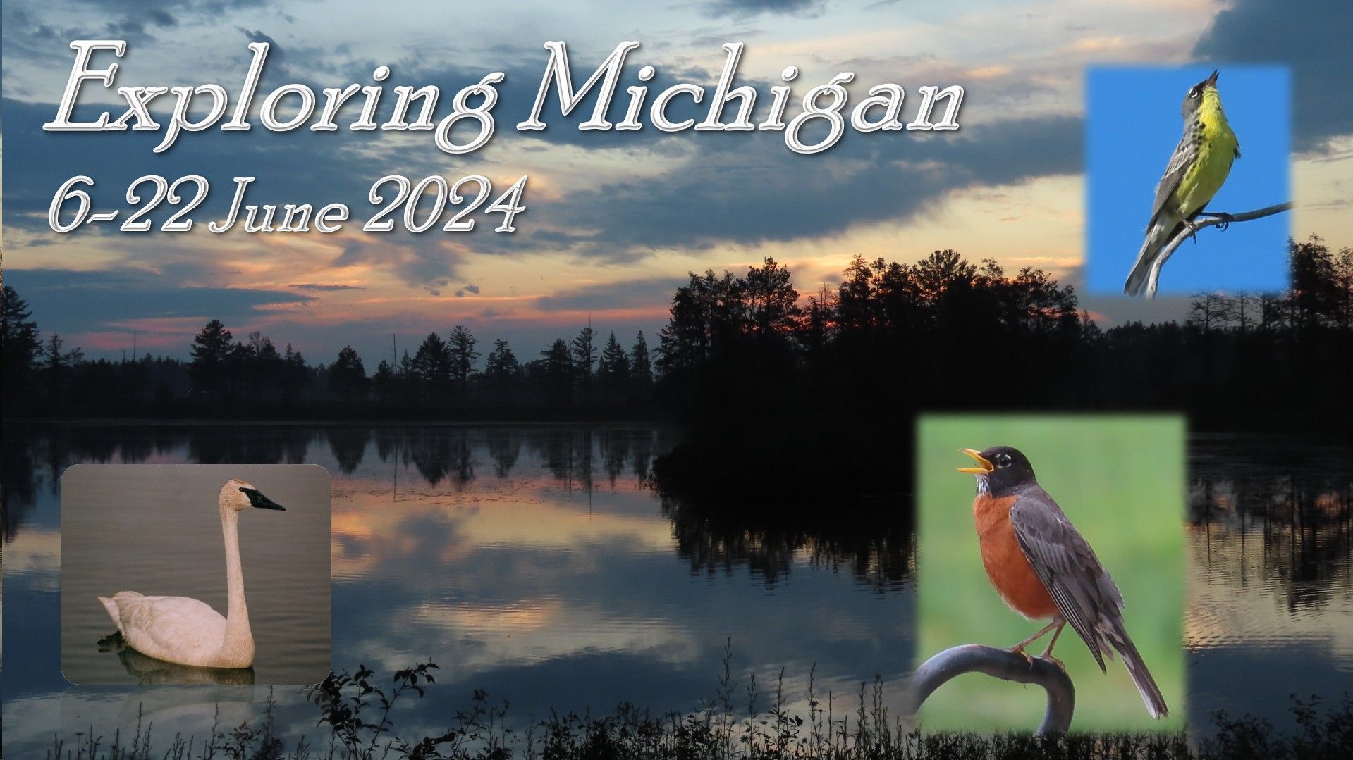 A poster for exploring michigan shows a swan and a bird