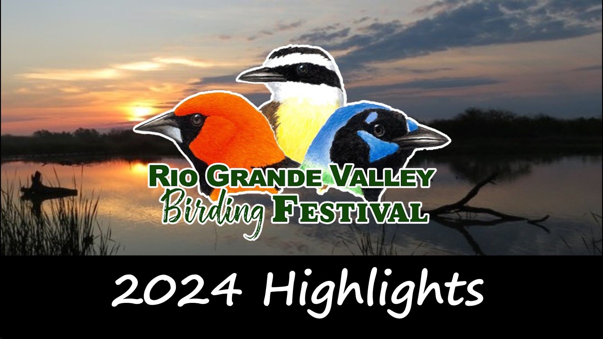 An advertisement for the rio grande valley birding festival