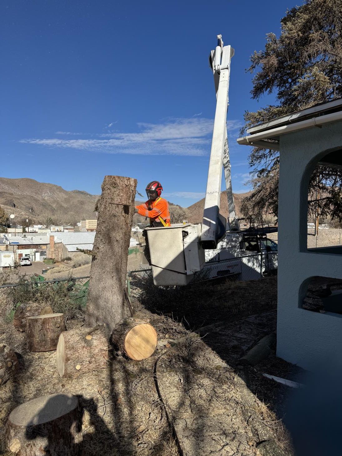 Tree service worker in a lift, trimming a tree stump outdoors. Blue sky, distant buildings.