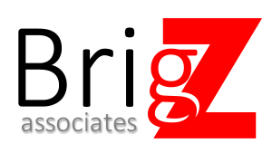 BrigZ Associates Ltd