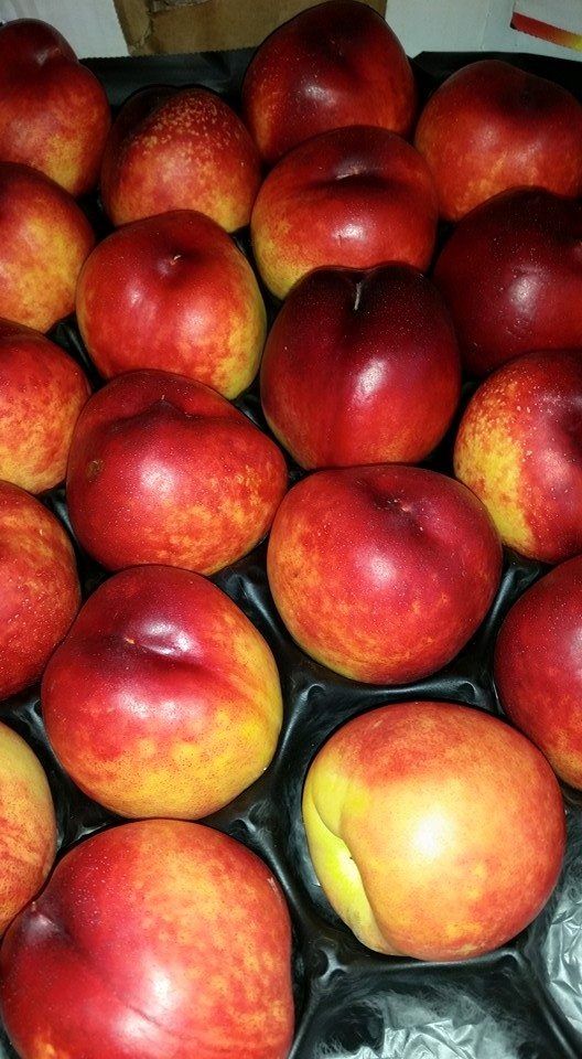 pesche rosse