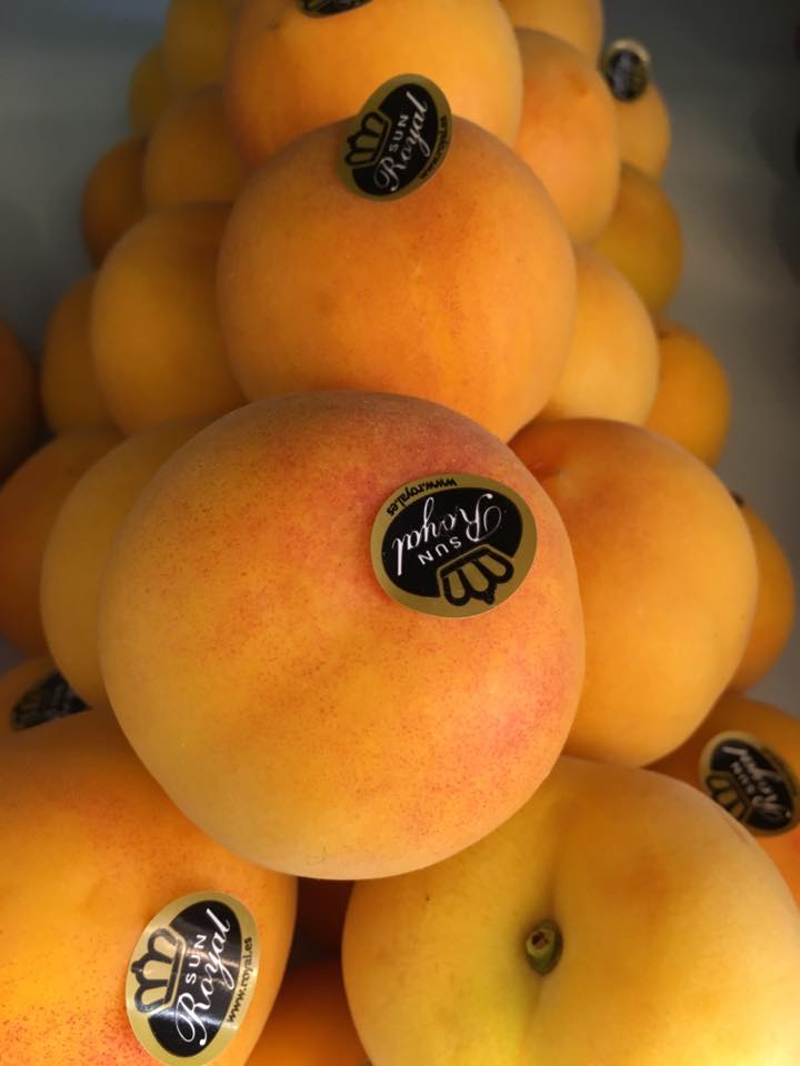 frutta di stagione