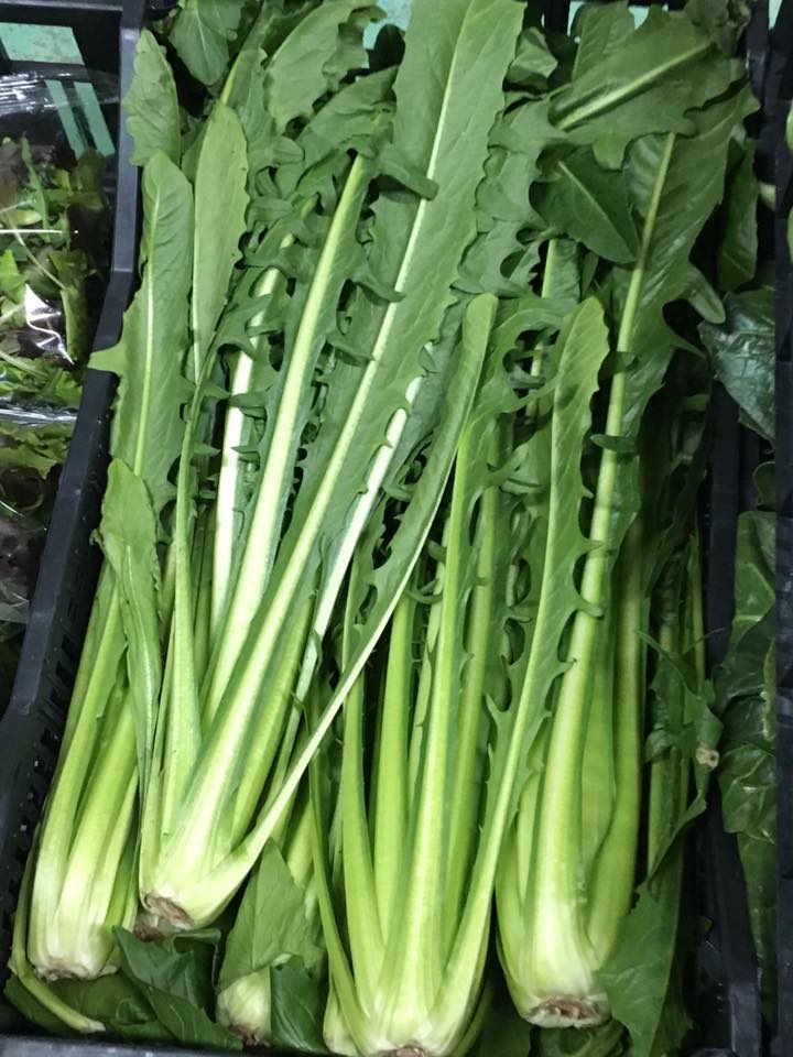 sedano