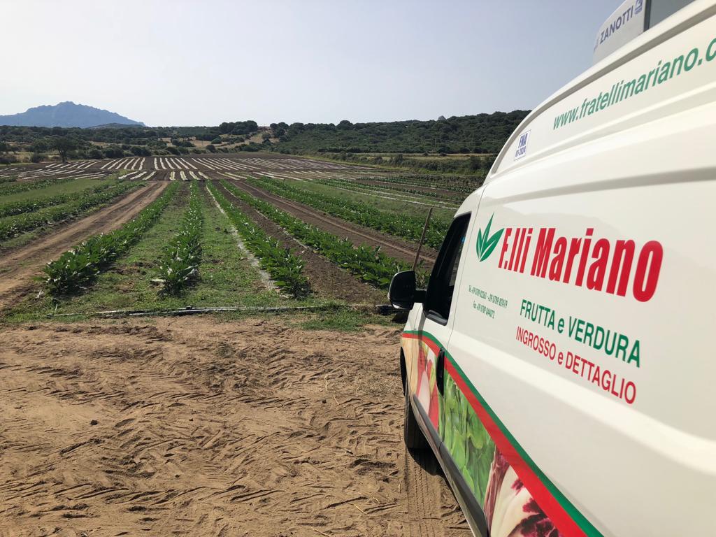 azienda agricola