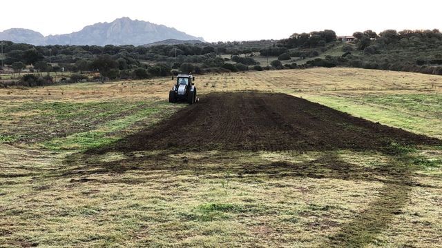campo per coltivazione agricola