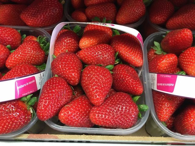 fragole