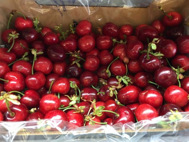 pomodori