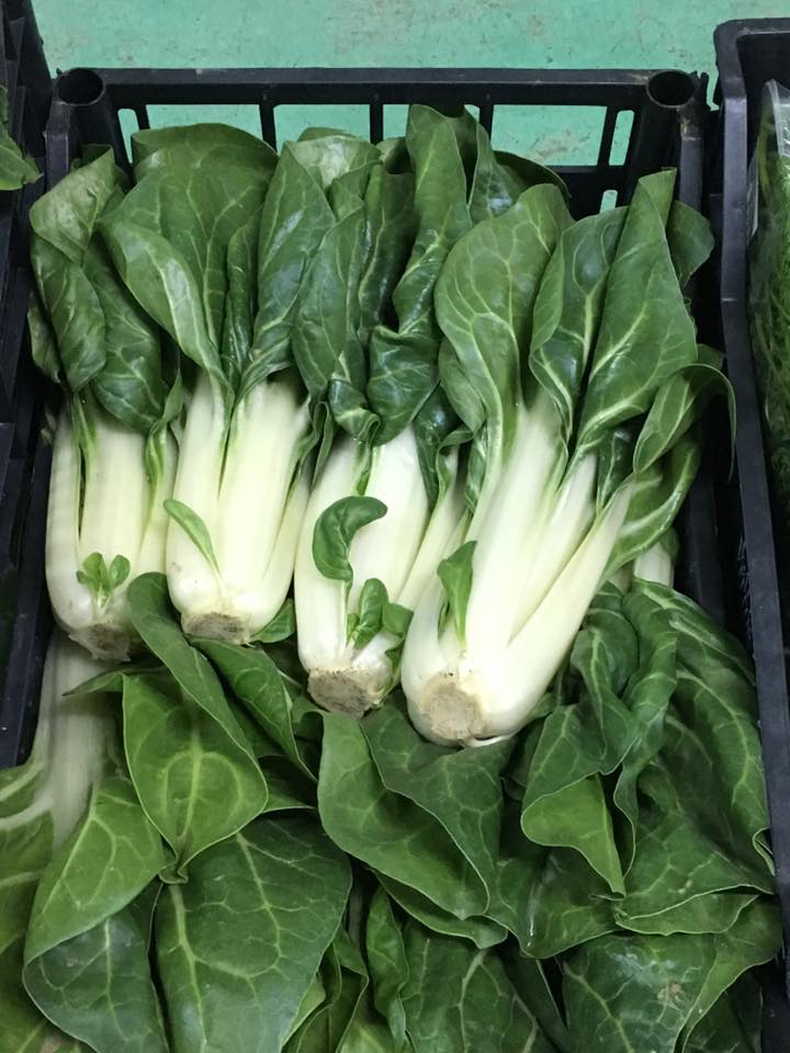 cespi di insalata
