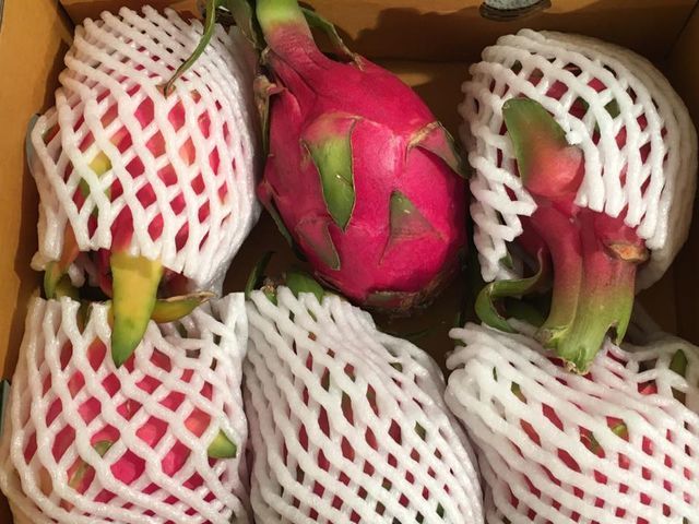 dragon fruit
