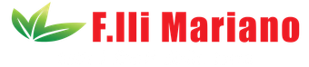 FRATELLI MARIANO 2000 - LOGO