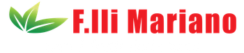 FRATELLI MARIANO 2000 - LOGO