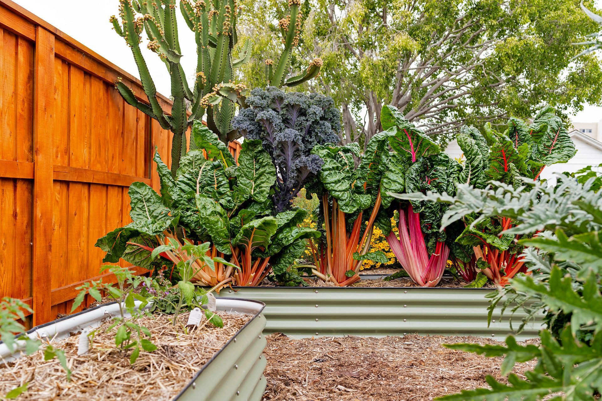Backyard Landscaping Ideas - San Diego - Drab to Fab