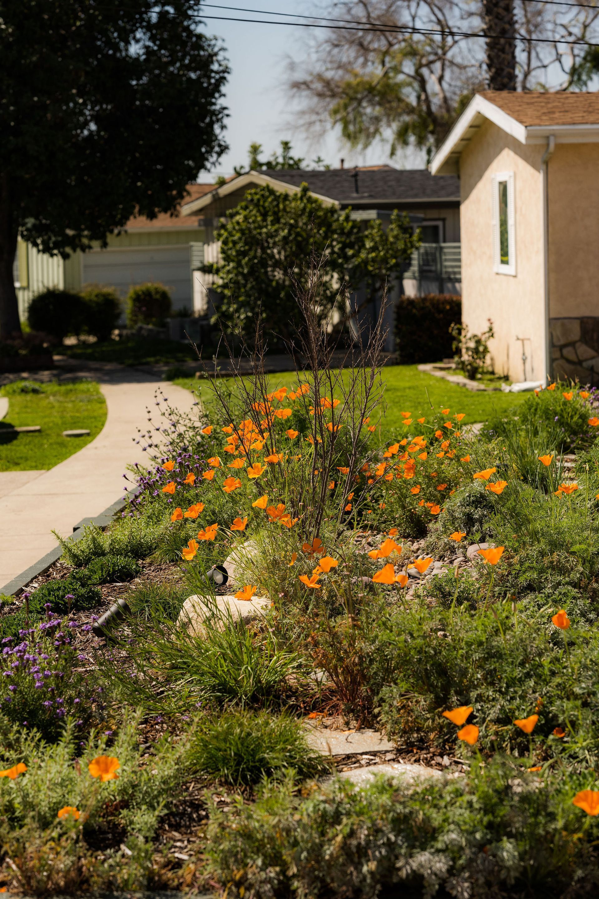Low-Maintenance Landscaping - San Diego - Drab to Fab