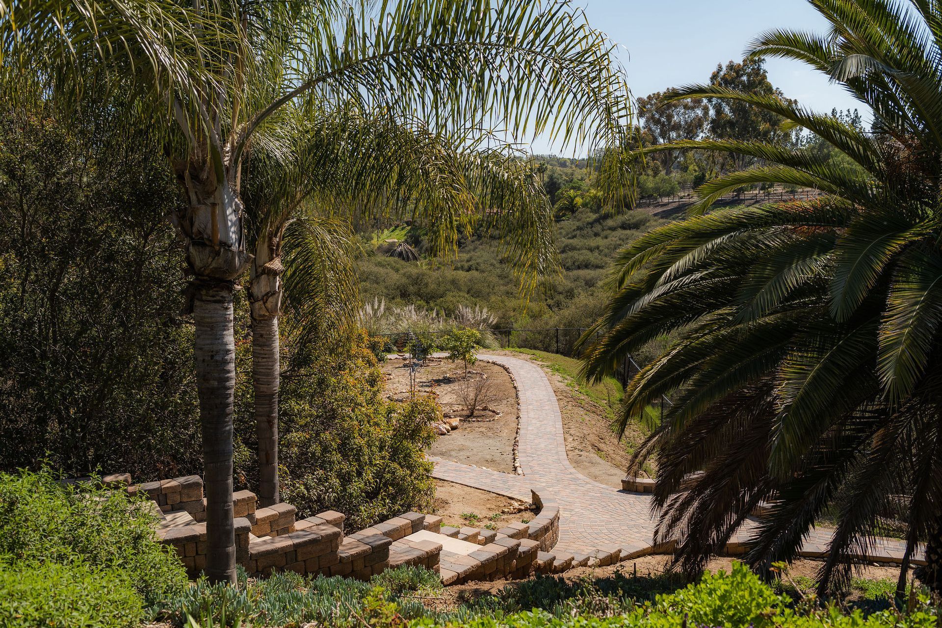 Eco-Friendly Landscaping - San Diego - Drab to Fab