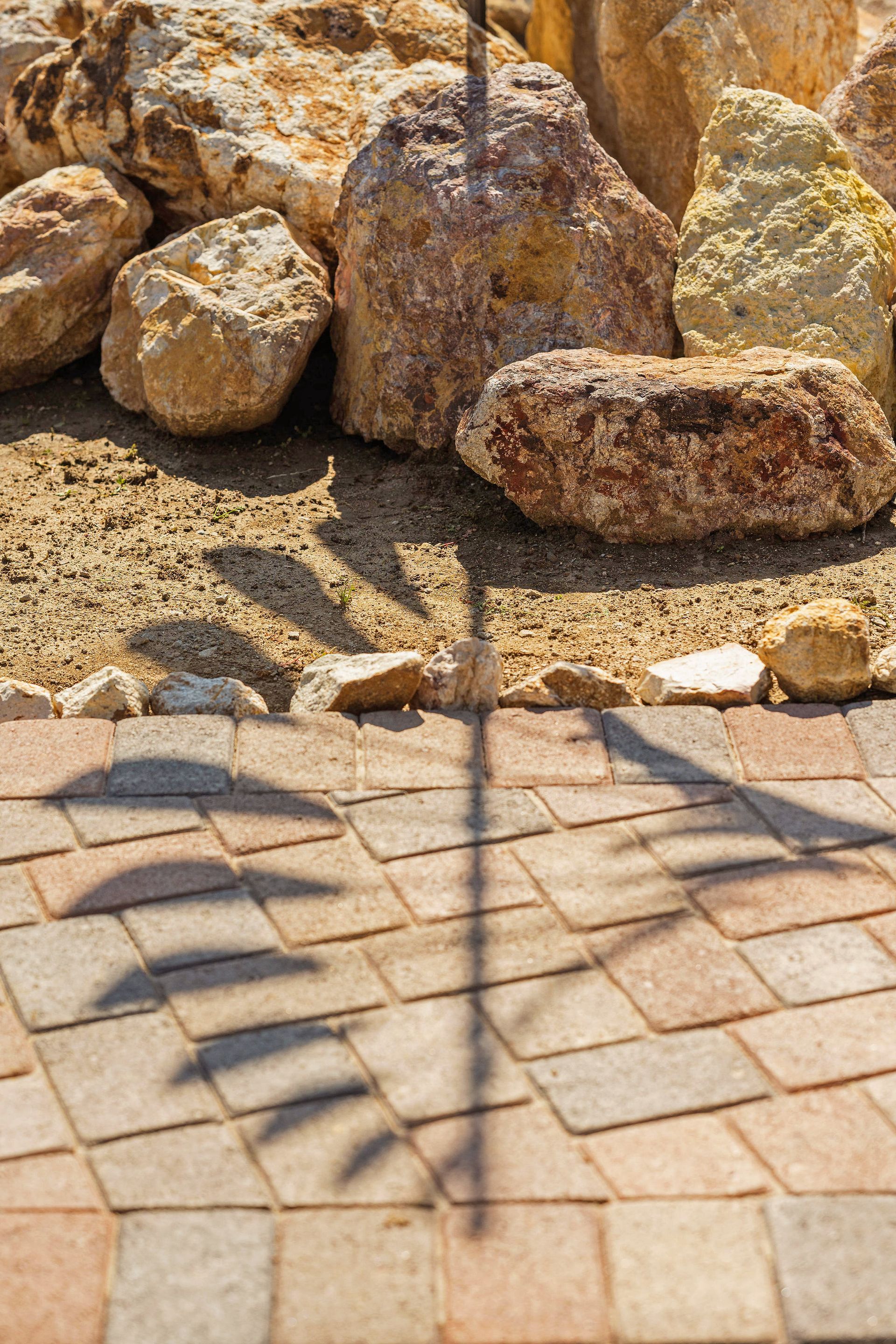 Backyard Landscaping Ideas - San Diego - Drab to Fab