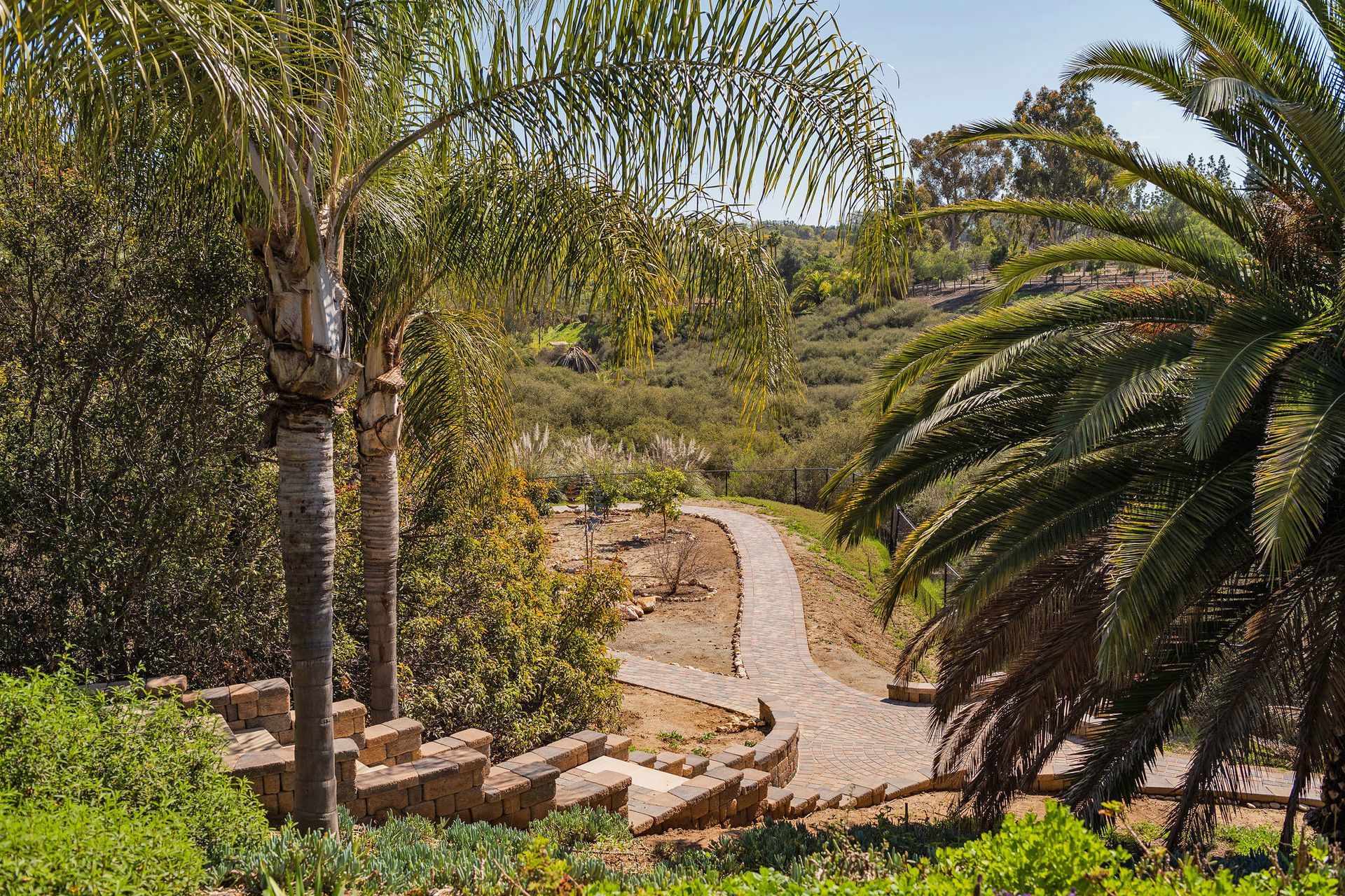 Backyard Landscaping Ideas - San Diego - Drab to Fab