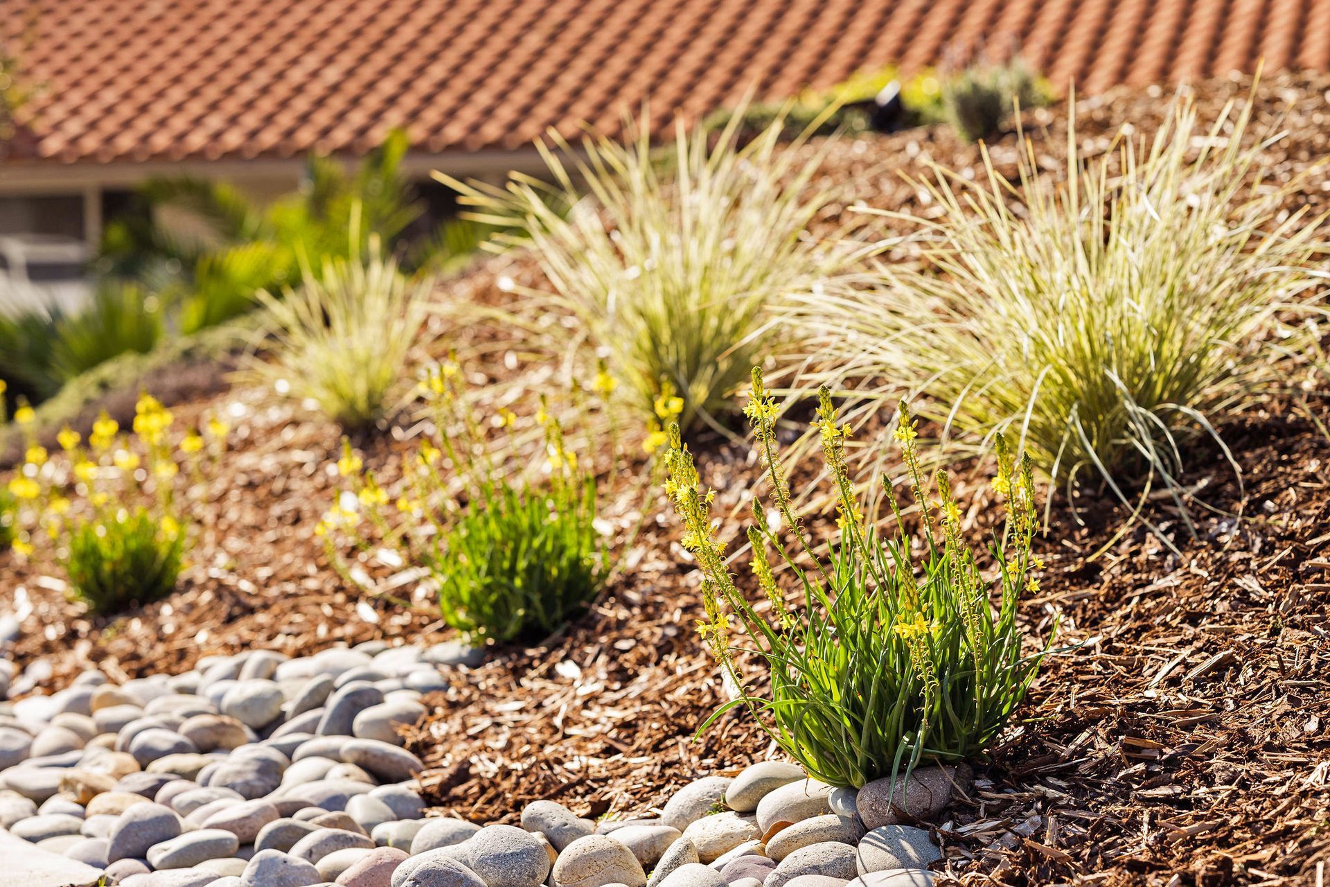 Backyard Landscaping Ideas - San Diego - Drab to Fab
