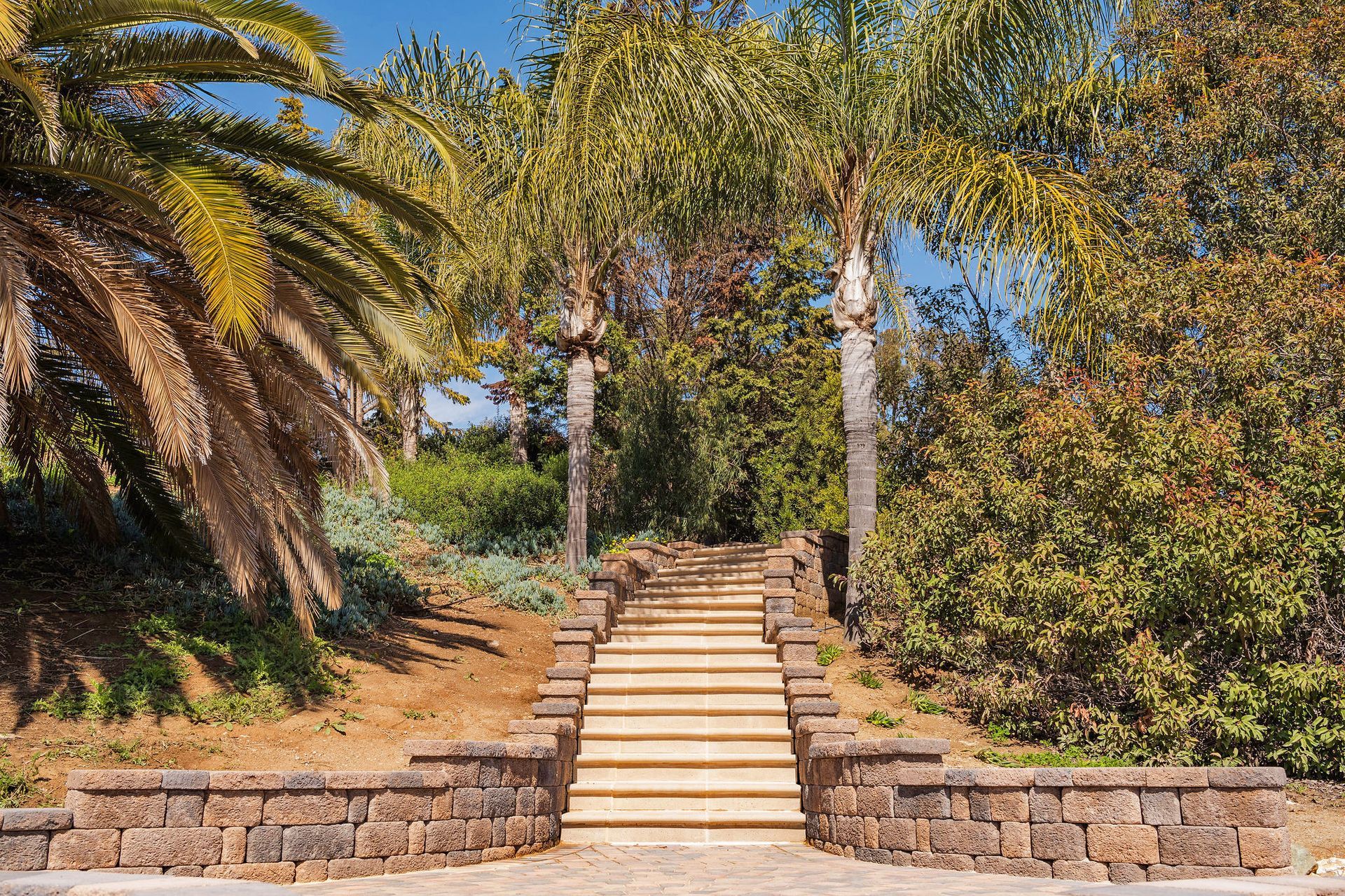 Backyard Landscaping Ideas - San Diego - Drab to Fab