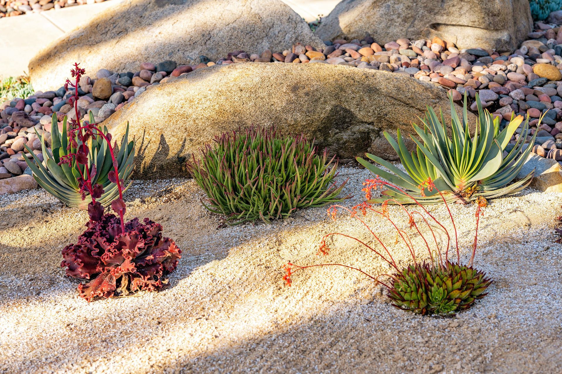 Backyard Landscaping Ideas - San Diego - Drab to Fab