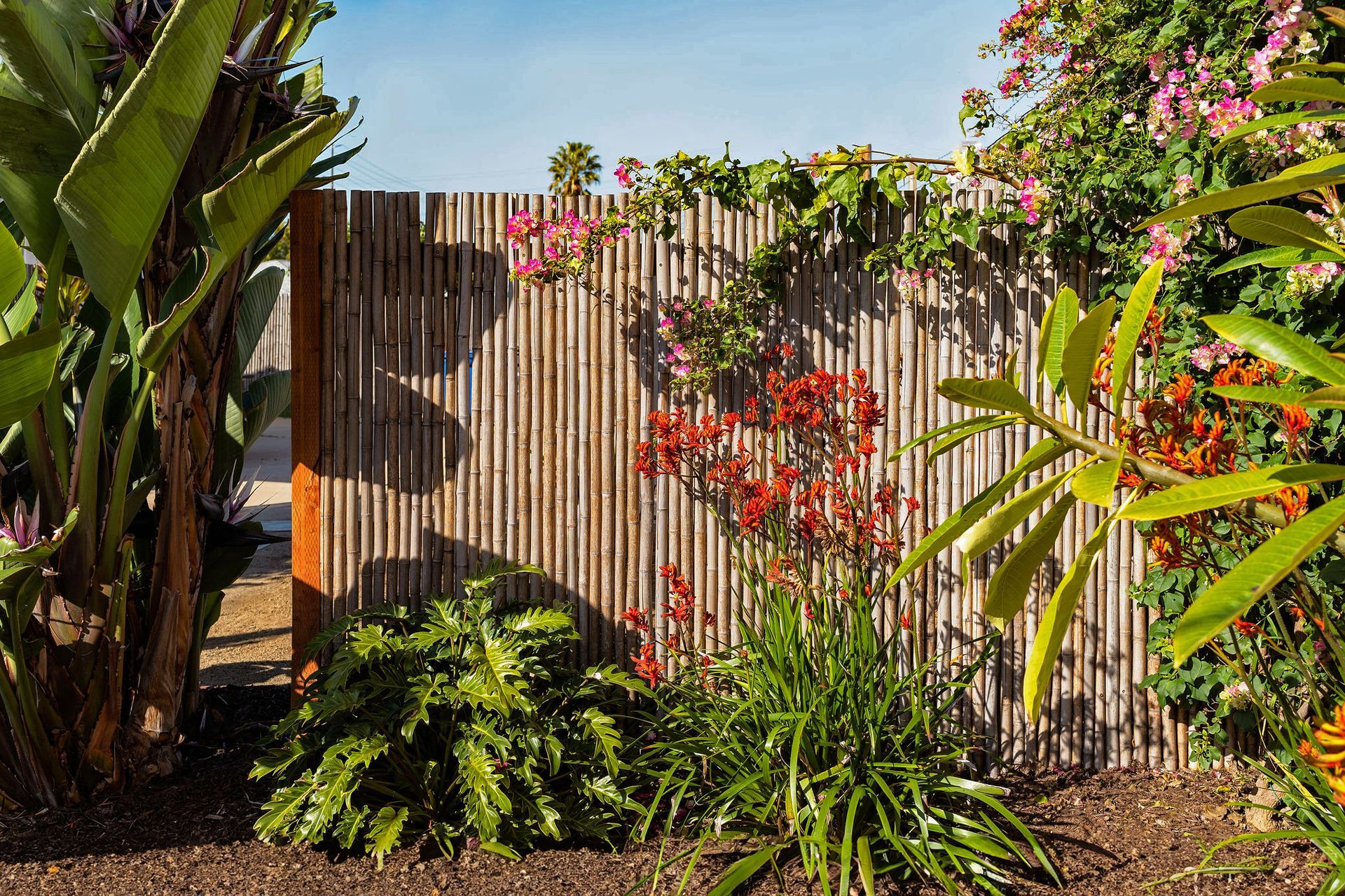 Backyard Landscaping Ideas - San Diego - Drab to Fab