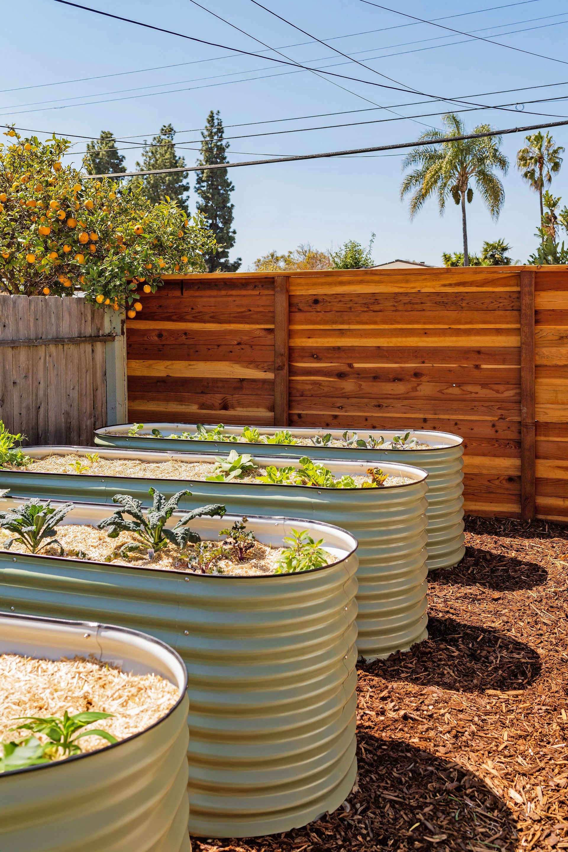 Backyard Landscaping Ideas - San Diego - Drab to Fab