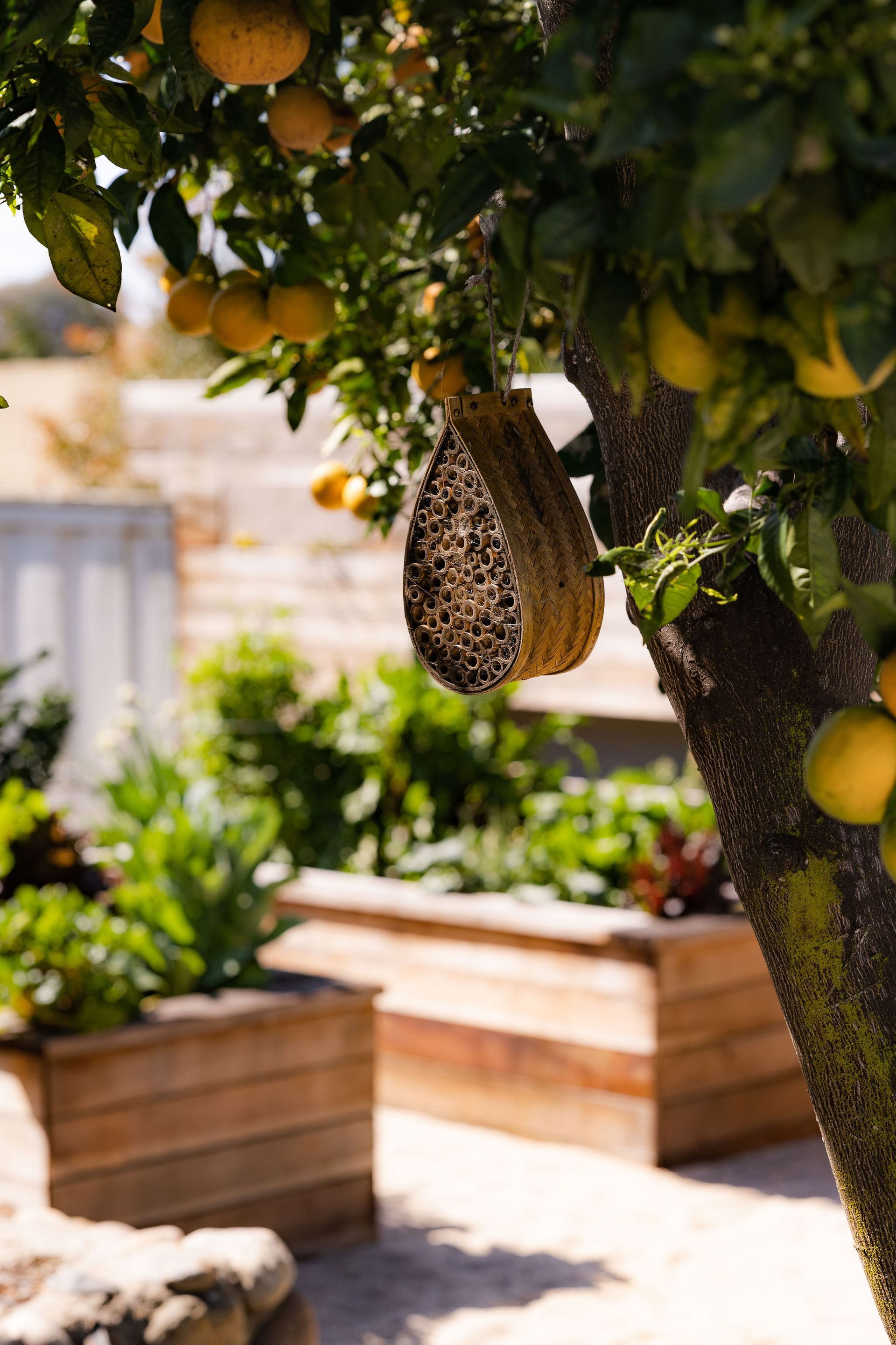 Eco-Friendly Landscaping - San Diego - Drab to Fab