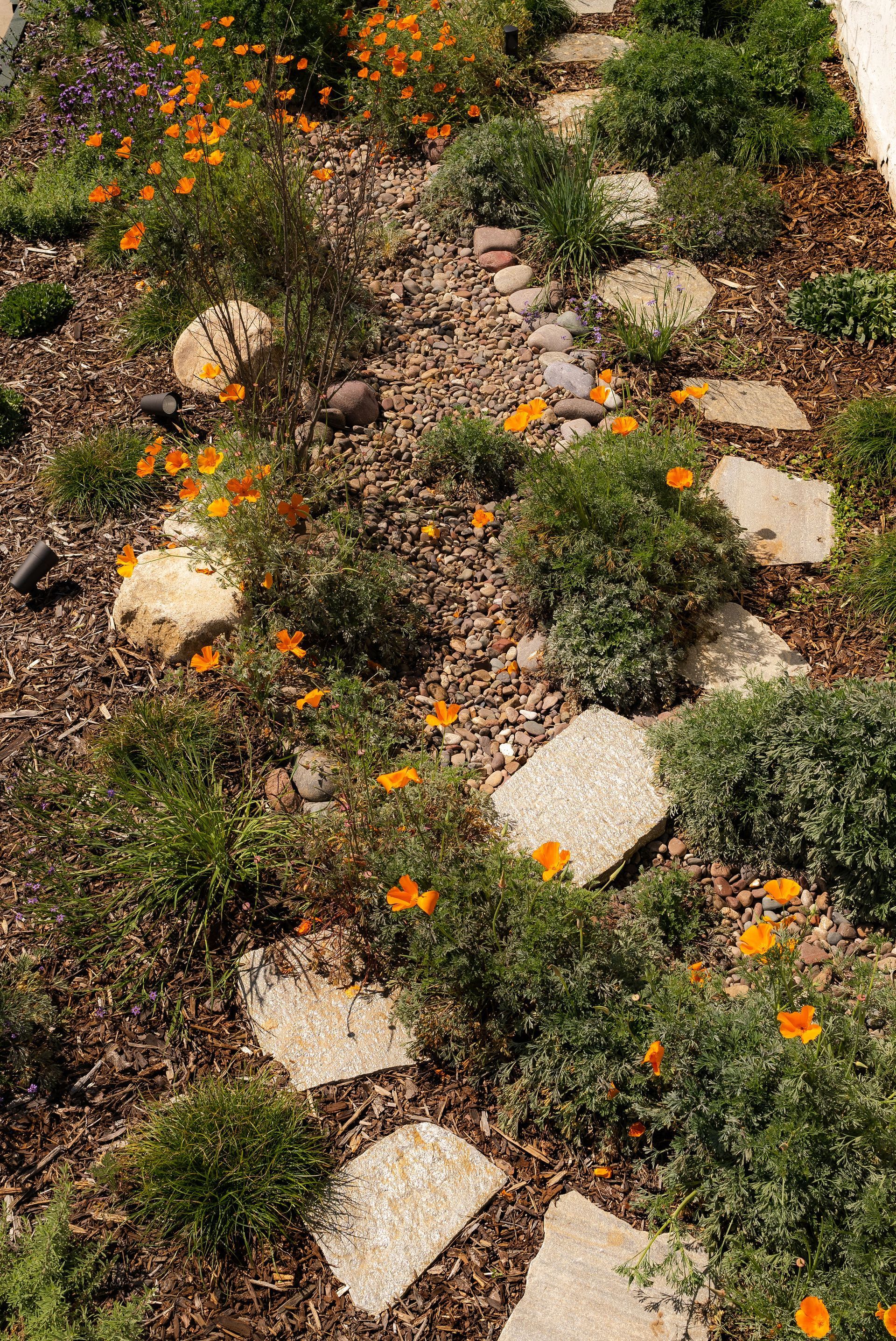 Backyard Landscaping Ideas - San Diego - Drab to Fab