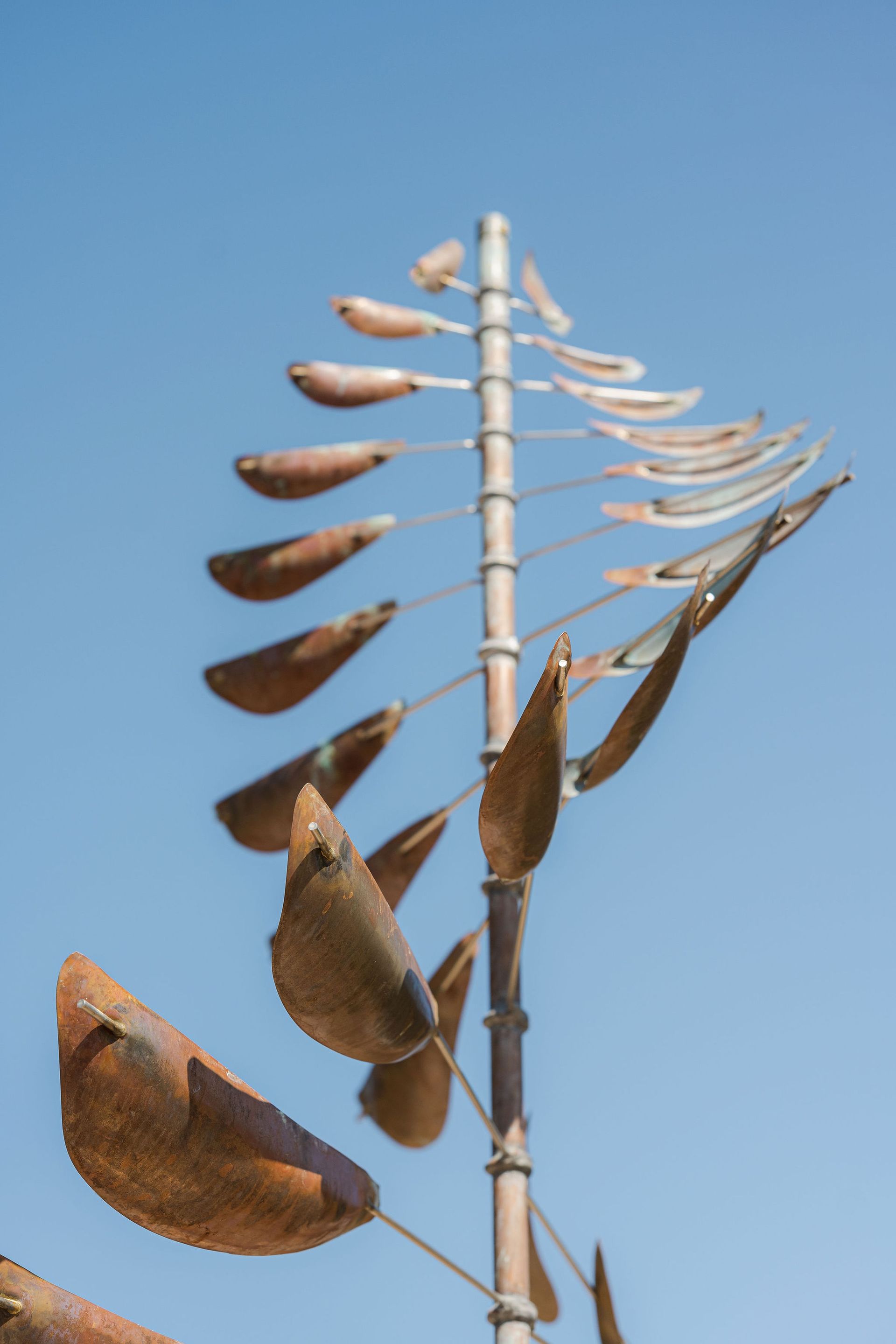 Eco-Friendly Landscaping - San Diego - Drab to Fab