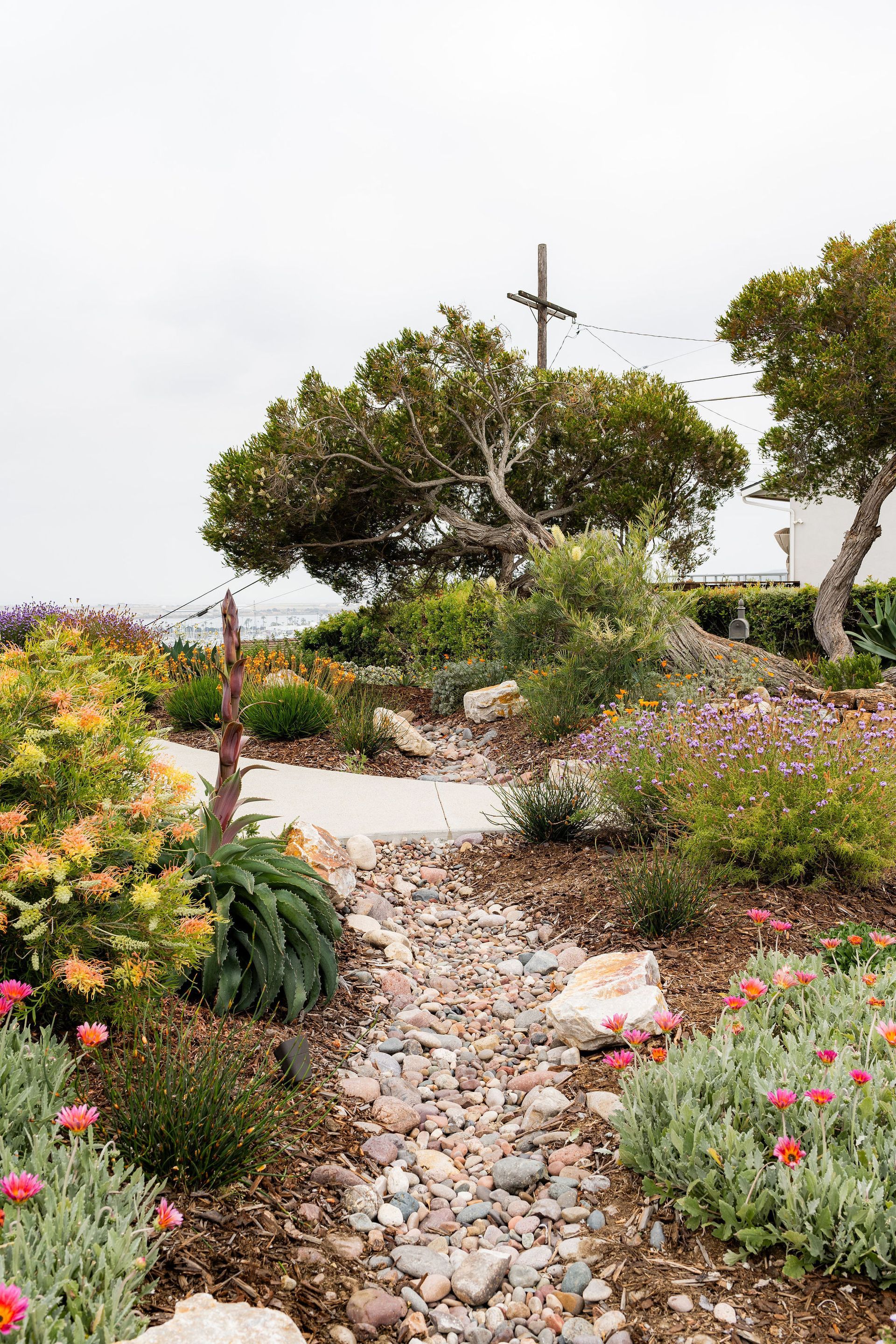 Custom Eco-Friendly Landscape Design — San Diego, CA — Drab to Fab LLC